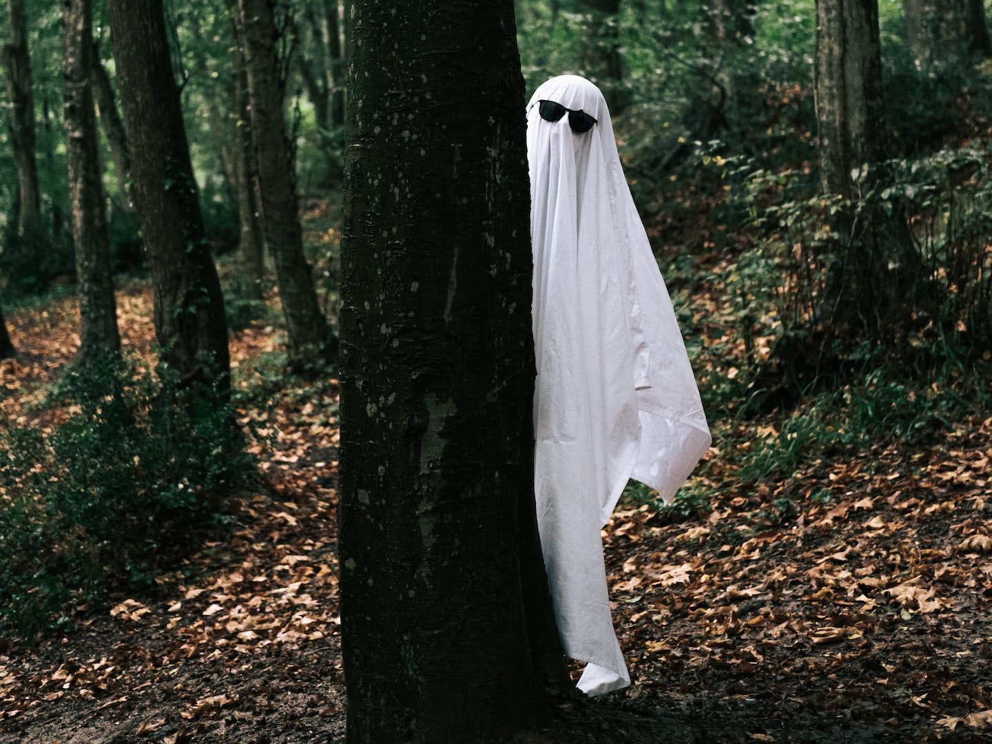 Why “ghosting” happens in hiring | Pivot + Edge